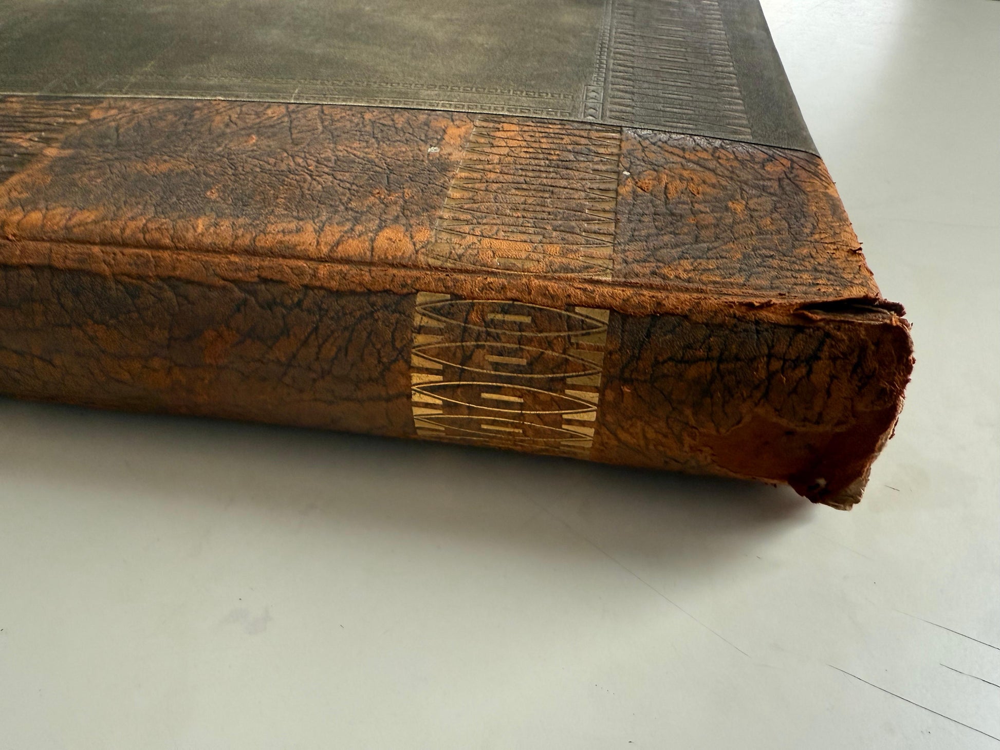 Libro antico collezione di foto e ritratti francese XIX secolo